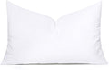 MIULEE Throw Pillow Insert Premium Pillow Stuffer Sham Rectangle for Decorative Cushion Bed Couch Sofa 12x22 Inch