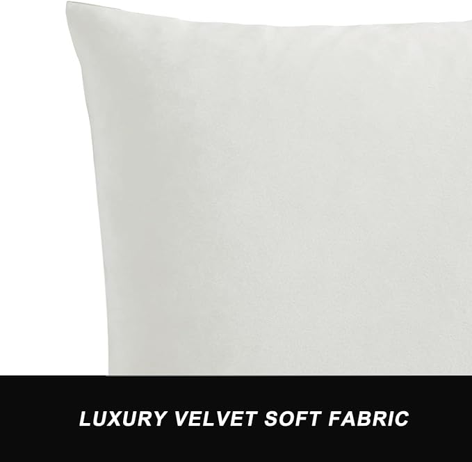 GIGIZAZA Decorative Couch Throw Pillow Covers Velvet,Set of 2 Whtie Cushion Covers Square Sofa Pillow Cases 24 x 24