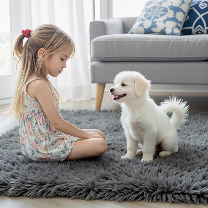 Area Rugs 10x14 Living Room, Shaggy Carpet Soft Plush Furry Bedside Rug Large Area Rugs for Bedroom Kids Girls Boys Home Decor Anti Slip(10 x 14, Dark Grey)