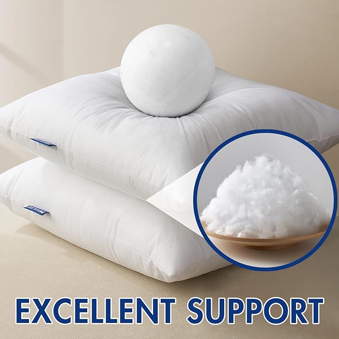 MIULEE Pillow Insert 12x20 Inch, Decorative Rectangle Throw Pillow Insert, Premium Fluffy Pillow Forms Stuffer for Sofa Couch Living Room (Pack of 2)