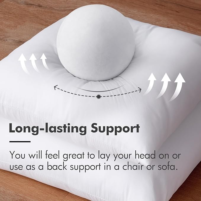 MIULEE Throw Pillow Insert Premium Pillow Stuffer Sham Rectangle for Decorative Cushion Bed Couch Sofa 16x20 Inch