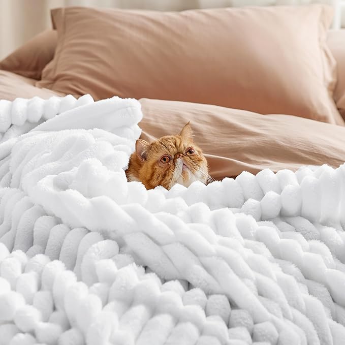 Bedsure GentleSoft White Twin XL Blanket for Bed - Cozy Soft Blankets for Women, Cute Small Fleece Throws for Girls, Birthday Gifts for Women Decor Gifts for Mom, Bright White, 66x90 Inches