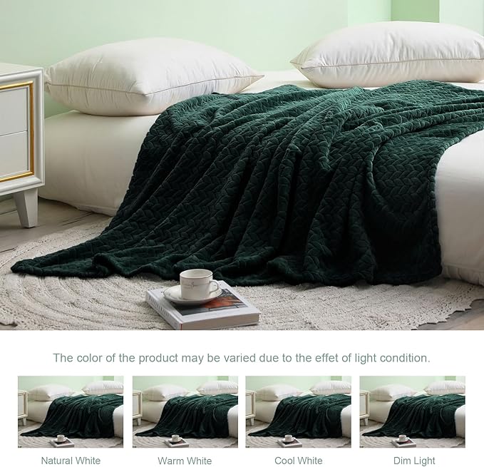 Exclusivo Mezcla Fleece Queen Size Blanket for Bed, 90x90 Inches Soft Cozy Jacquard Flannel Blankets, Lightweight Fuzzy Plush Warm for Women, Forest Green