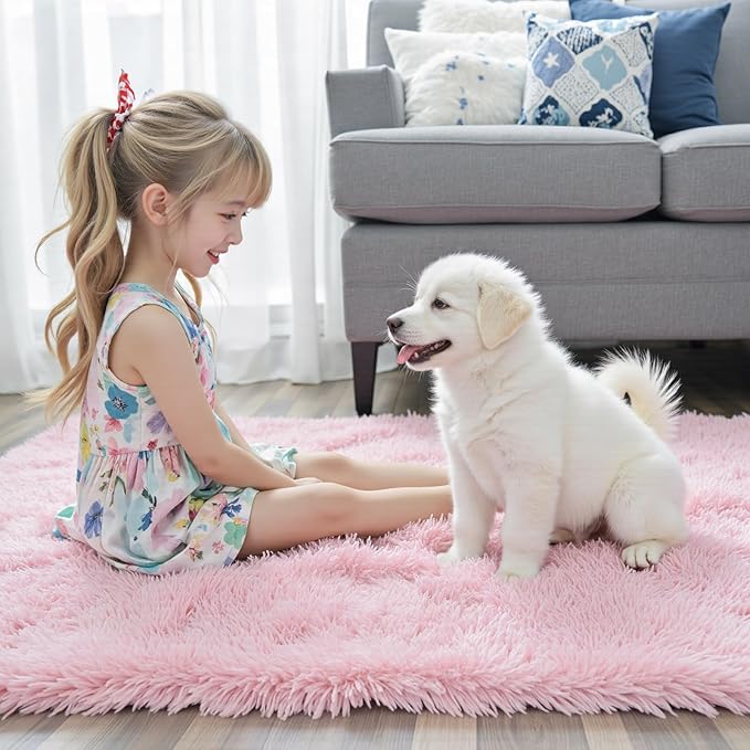Small Rug Throw Rugs for Bedroom, Mini Area Rug, Fluffy Pink Carpet, Affordable Door Entryway Indoor Inside Front Entrance Dog 2x3 Mat, Home Decor Aesthetic(2 x 3, Pink)