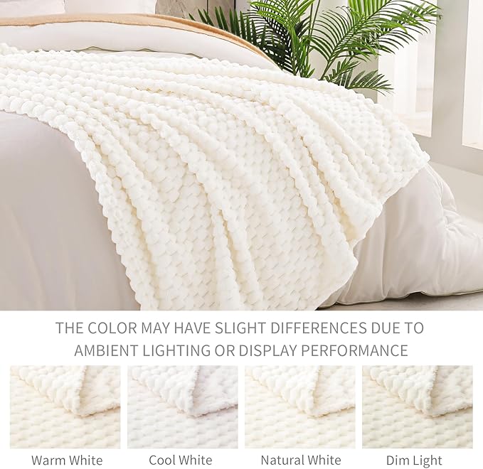 Exclusivo Mezcla Fleece Queen Blanket for Bed, Extra Large Fuzzy Ivory Bed Blankets, Soft Cozy Plush Sofa Throws for All Seasons, 90x90 Inches