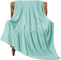 BEDELITE Fleece Blanket Twin Size Haze Blue Throw Blankets for Couch & Bed, Luxury Plush Cozy Fuzzy Blanket 60x80 inches, Super Soft Warm Lightweight Throw Blanket for Travel Camping