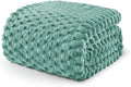 Exclusivo Mezcla Fleece Twin Blanket for Bed, Extra Large Fuzzy Celadon Bed Blankets, Soft Cozy Plush Sofa Throws for All Seasons, 60x80 Inches