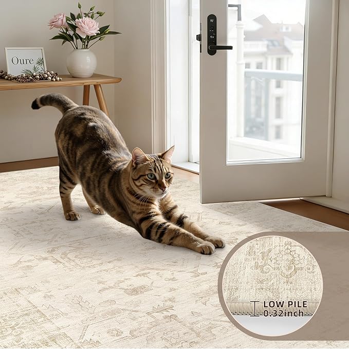 6x9 Area Rugs for Living Room: Vintage Boho Neutral Washable Rug Indoor Soft Large Area Rug Carpet for Bedroom Nursery Farmhouse Dining Room Office Floor Non-Slip Low Pile Under Table Rug Beige/Brown