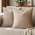 GIGIZAZA Decorative Throw Pillow Covers 16x16,Set of 2 Taupe Square Couch Pillow Covers,Velvet Sofa Boho Cushion Pillows