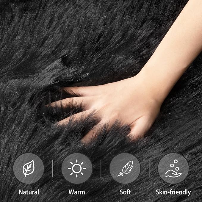Ciicool Fluffy Area Rug, Black Faux Fur Rugs for Bedroom Living Room, Thick Fuzzy Shag Rug Furry Nursery Rug Plush Indoor Floor Carpets for Kids Girls Boys Teen Dorm, 4x6 ft