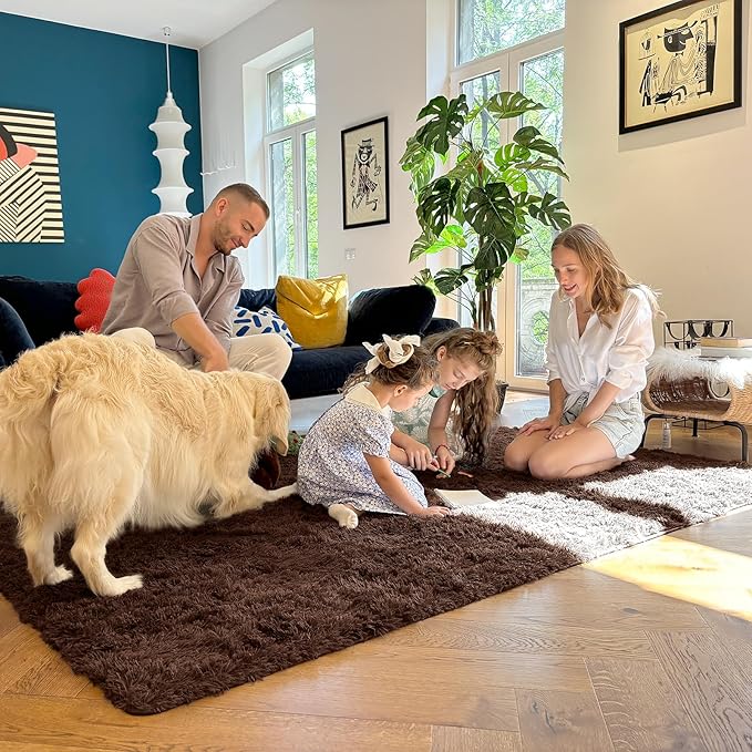 OLANLY 8x12 Machine Washable Large Area Rugs for Living Room, Bedroom, Soft Fluffy Shaggy Bedside Rug, Indoor Floor Carpet for Kids Girls and Boys, Dorms, Nursery, Home Decor Aesthetic, Coffee