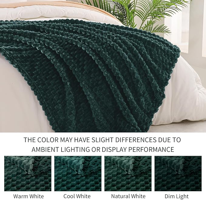Exclusivo Mezcla Fleece Queen Blanket for Bed, Extra Large Fuzzy Forest Green Bed Blankets, Soft Cozy Plush Sofa Throws for All Seasons, 90x90 Inches