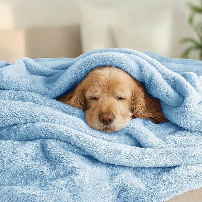 Exclusivo Mezcla Plush Fuzzy Fleece Bed Blanket Queen Size, Super Soft, Fluffy and Warm Blankets for Couch, Bed, All Season (Light Blue, 90x90 Inches)