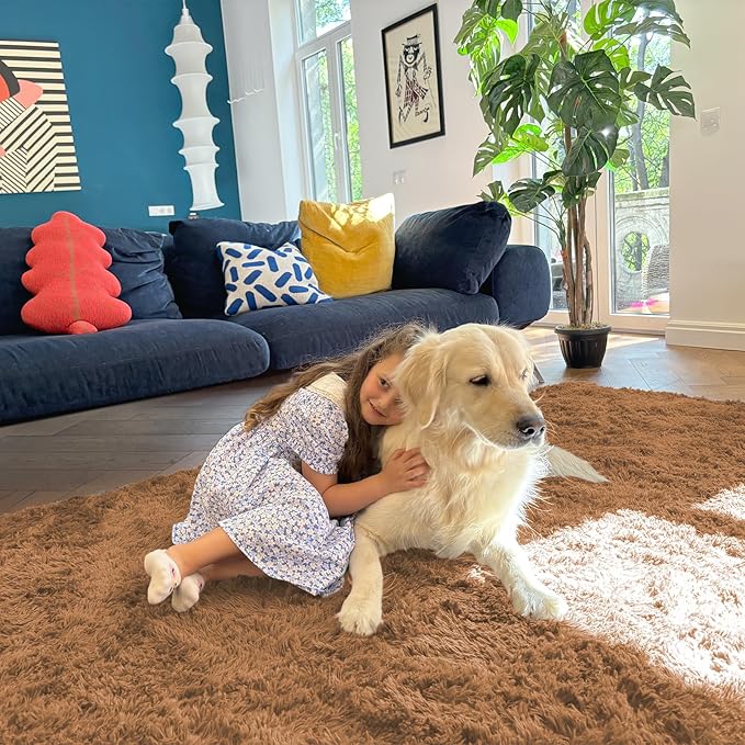 OLANLY 8x10 Machine Washable Large Area Rugs for Living Room, Bedroom, Soft Fluffy Shaggy Bedside Rug, Indoor Floor Carpet for Kids Girls and Boys, Dorms, Nursery, Home Decor Aesthetic, Khaki