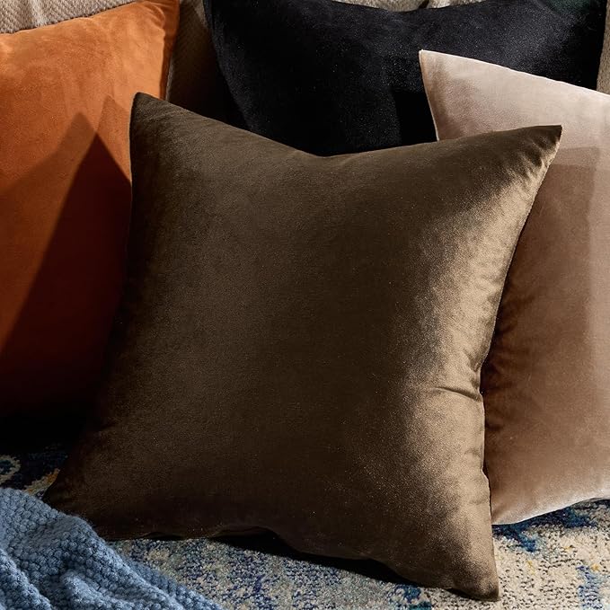 GIGIZAZA Brown Velvet Pillow Covers 22x22,Square Solid Throw Pillow Covers Decorative Modern Pillows Big Vintage Cases for Couch Pack of 2
