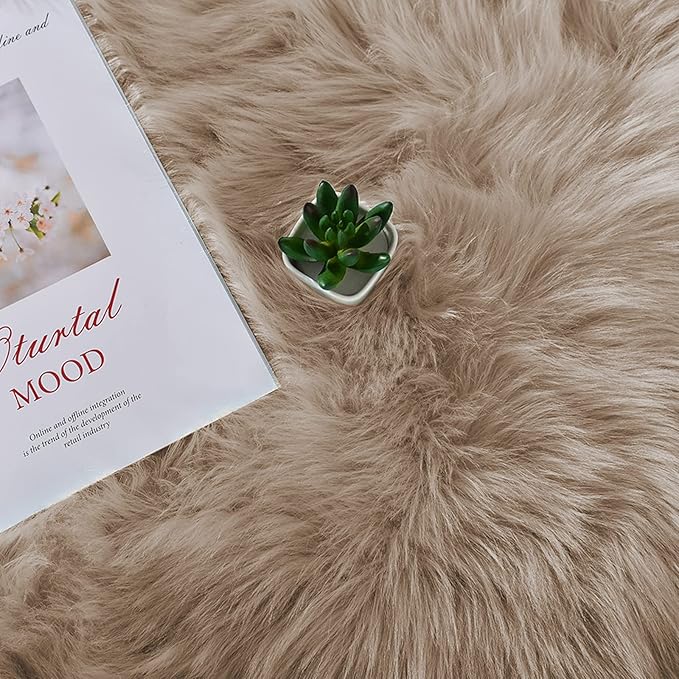 Latepis Small Area 2x4 Rug Brown Beige Fur Rug 60% Acrylic 40% polyester Shaggy Rugs for Bedroom Washable Shag Rugs for Living Room Dorm Cushion Home Décor