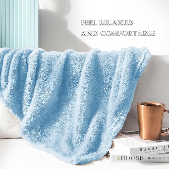 Exclusivo Mezcla Plush Fuzzy Fleece Bed Blanket Queen Size, Super Soft, Fluffy and Warm Blankets for Couch, Bed, All Season (Light Blue, 90x90 Inches)
