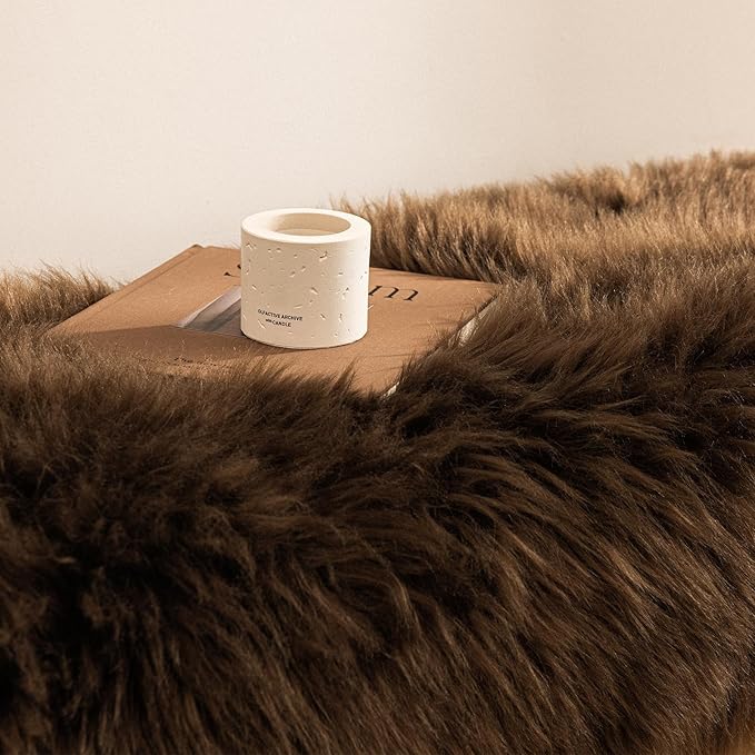 Ashler Faux Fur Rug - Fluffy Shaggy Area Rug, Ultra Soft 3 x 5 Feet Sheepskin Fur, Dark Coffee Fuzzy Machine Washable Shag, Nursery Decor Throw for Bedroom, Living Room, Kids Room
