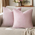 GIGIZAZA Decor Throw Couch Pillow Covers,Set o 2 Sweet Lilac Sofa Cushion Pillow Covers,Velvet Pillow Cases 26x26inch