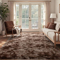 6x9 Ft Large Shag Brown Area Rug for Living Room, Tie-Dyed Ultra Soft Fluffy Furry Rugs for Bedroom Indoor Floor, Aesthetic Carpet for Kids Home Decor (Coffee)