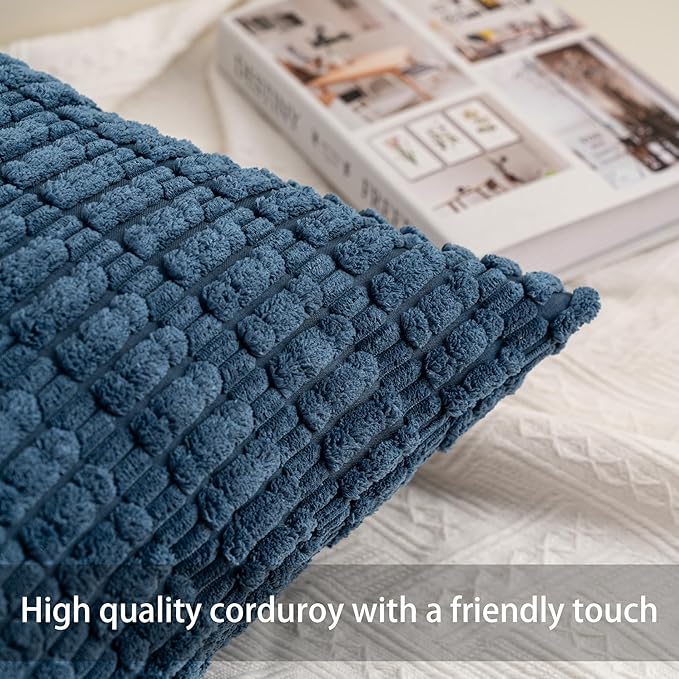 Pack of 2 Corduroy Decorative Throw Pillow Covers 22x22 Inch Soft Striped Pillow Covers Modern Farmhouse Home Decor for Sofa Living Room Couch Bed（Sky Blue）