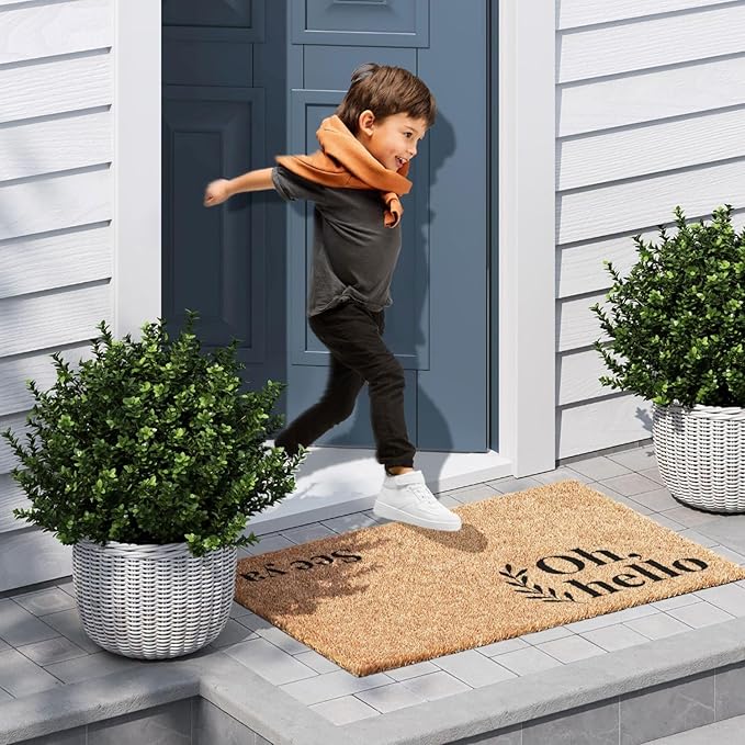 Barnyard Designs Doormat Welcome Mat for Outdoors, Large Front Door Entrance Mat, Brown (Oh Hello, 36x24)