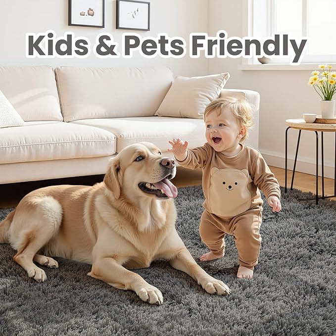 4x6 Area Rugs for Living Room Rug: Soft Fluffy Shag Gray Rugs for Bedroom, Non-Slip Large Fuzzy Plush Rug Indoor Floor Carpet for Nursery Kids Boys Girls Room, Dorms, Playroom, Modern Home Decor