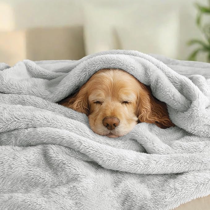 Exclusivo Mezcla Plush Fuzzy Fleece Bed Blanket King Size, Super Soft, Fluffy and Warm Blankets for Couch, Bed, All Season (Light Grey, 90x104 Inches)