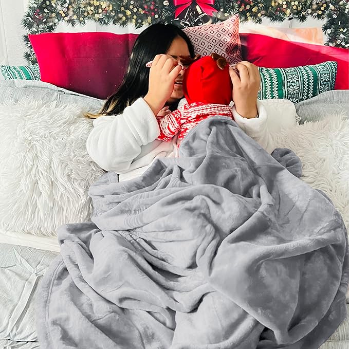 Bedsure GentleSoft Fleece Blanket Twin Size Light Grey - 300GSM Lightweight Plush Fuzzy Cozy Soft Warm Blanket for Bed, Sofa, Couch, Travel, Camping, 60x80 inches