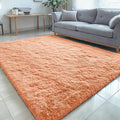 OLANLY 5x8 Machine Washable Large Area Rugs for Living Room, Bedroom, Soft Fluffy Shaggy Bedside Rug, Indoor Floor Carpet for Kids Girls and Boys, Dorms, Nursery, Home Decor Aesthetic, Muted Orange