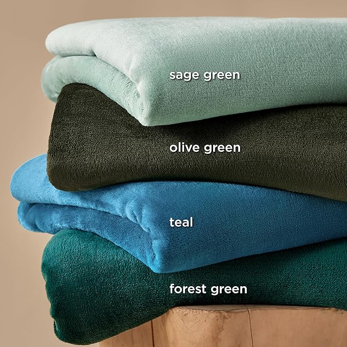 Bedsure GentleSoft Fleece Blanket Twin Size Sage Green - 300GSM Lightweight Plush Fuzzy Cozy Soft Warm Blanket for Bed, Sofa, Couch, Travel, Camping, 60x80 inches