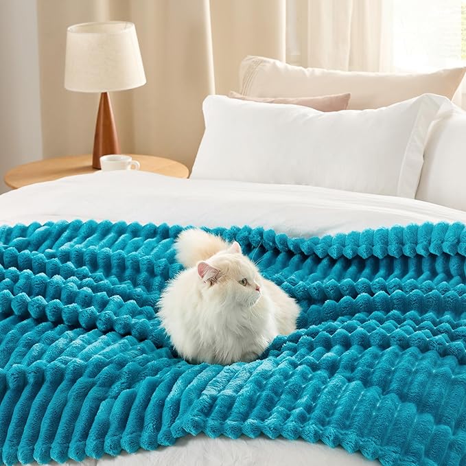 Bedsure GentleSoft Teal Fleece Blanket for Couch - Cozy Soft Blankets for Women, Cute Small Throws for Girls, 108x90 Inches