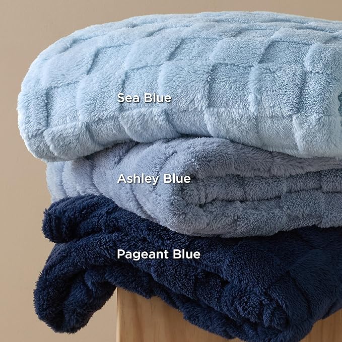 Bedsure GentleSoft Blankets Queen Size for Bed - Super Soft Cozy Blanket for Kids Girls, Large Fuzzy Fleece Throw for Bedroom Decor, Ashley Blue, 90x90 Inches