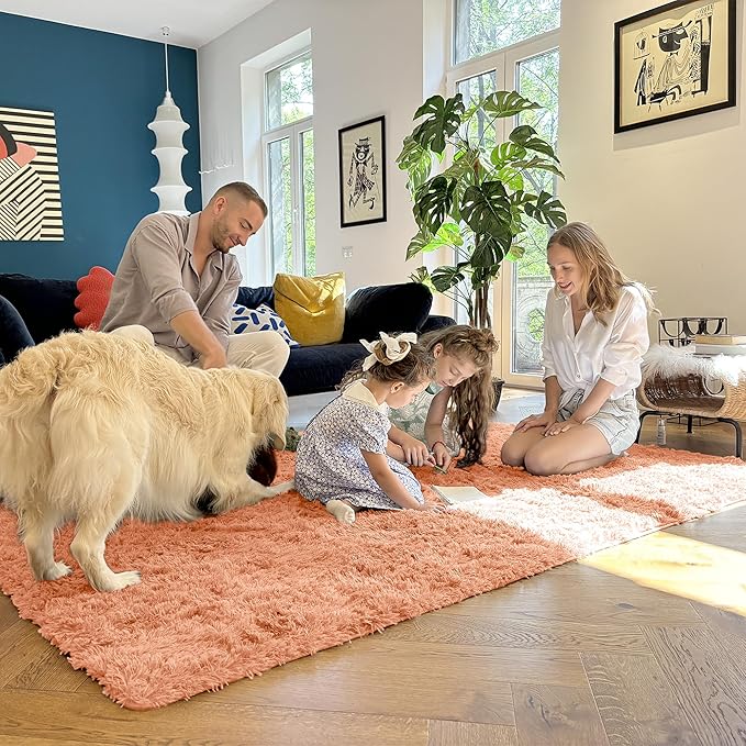 OLANLY Area Rugs for Living Room Bedroom, Machine Washable 4x5.9 ft Soft Fluffy Shaggy Bedside Rug, Indoor Floor Carpet for Kids Girls and Boys, Dorms, Nursery Rooms, Home Decor, Muted Orange
