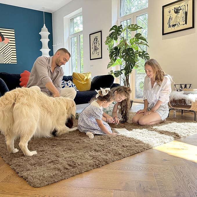 OLANLY 5x7 Machine Washable Large Area Rugs for Living Room, Bedroom, Soft Fluffy Shaggy Bedside Rug, Indoor Floor Carpet for Kids Girls and Boys, Dorms, Nursery, Home Decor Aesthetic, Taupe
